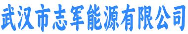 武汉市志军